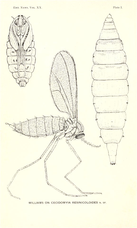 n21_w1150