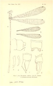 n51_w1150