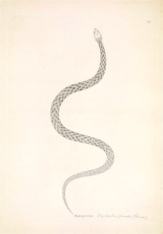 n112_w1150
