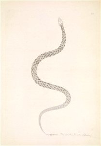 n112_w1150