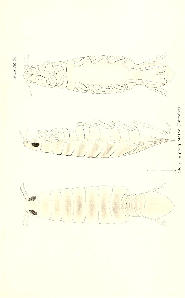 n832_w1150