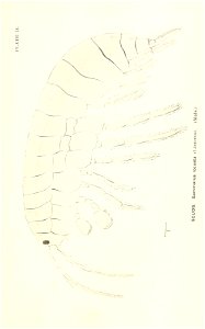 n772_w1150