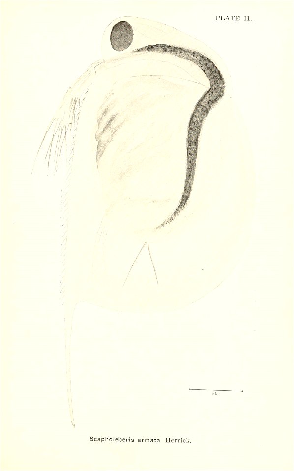 n682_w1150