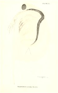 n682_w1150