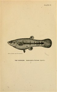 n380_w1150