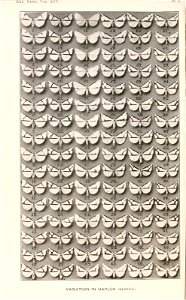 n15_w1150