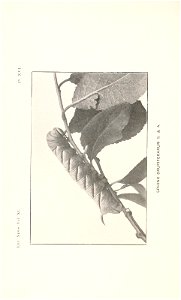 n321_w1150