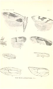 n59_w1150