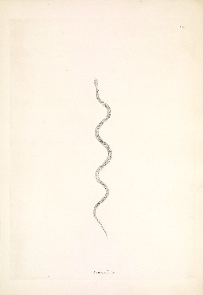 n110_w1150