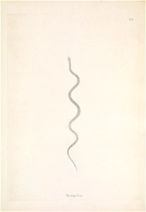 n110_w1150