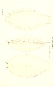 n830_w1150