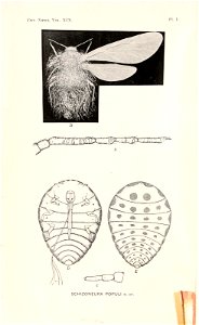 n11_w1150