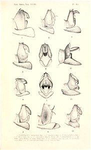 n156_w1150