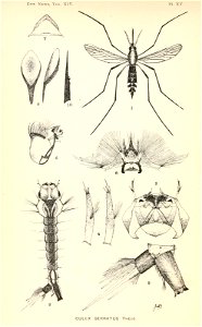 n351_w1150
