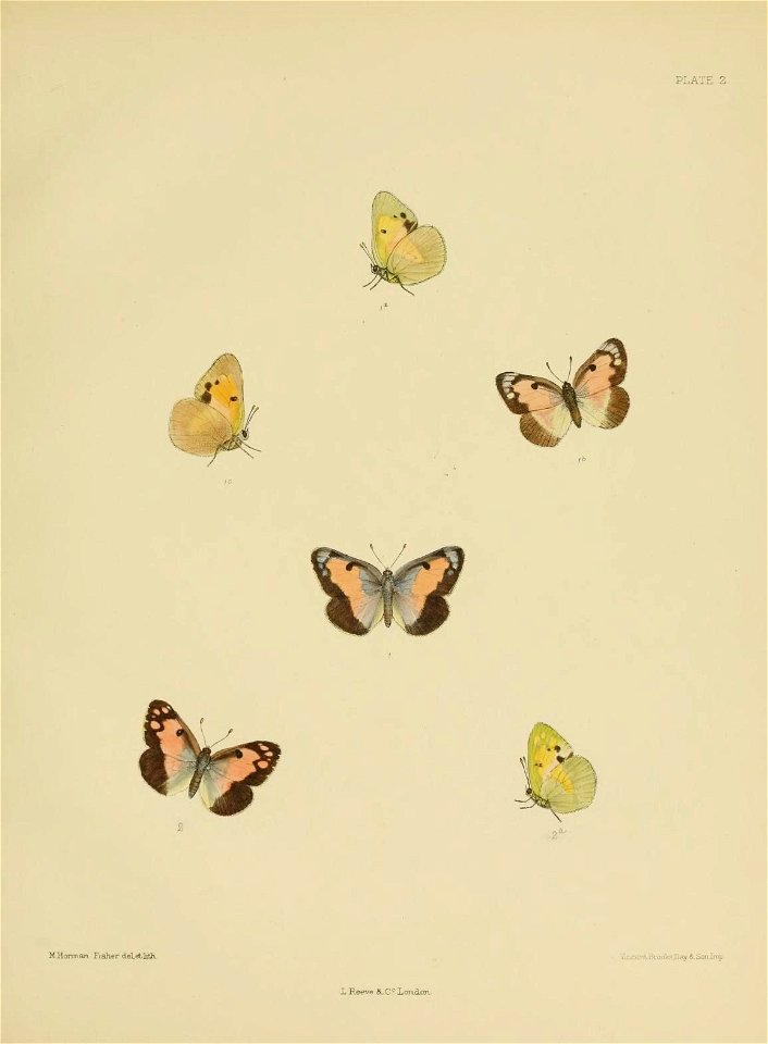 n168_w1150