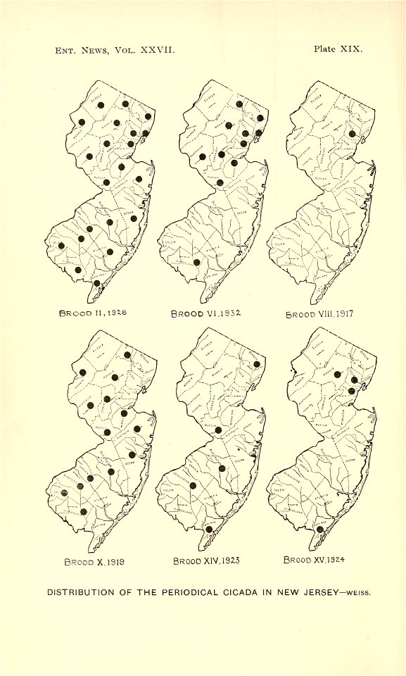 n413_w1150