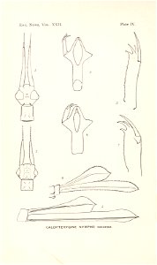 n187_w1150