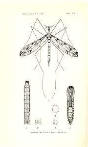 n343_w1150