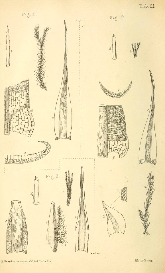 n399_w1150