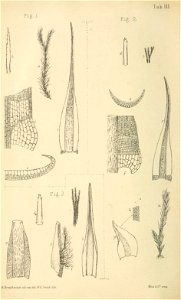 n399_w1150