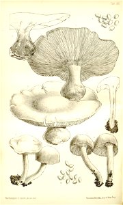 n228_w1150