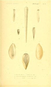 n520_w1150