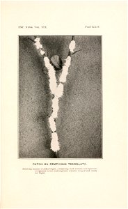 n558_w1150
