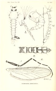 n111_w1150