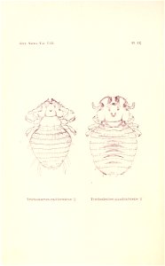 n213_w1150
