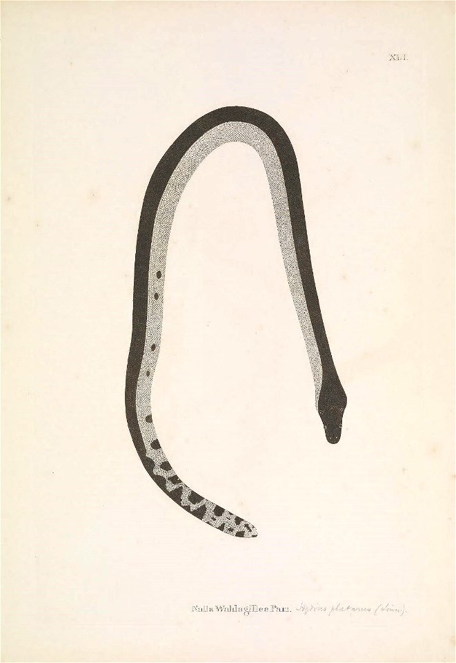 n154_w1150