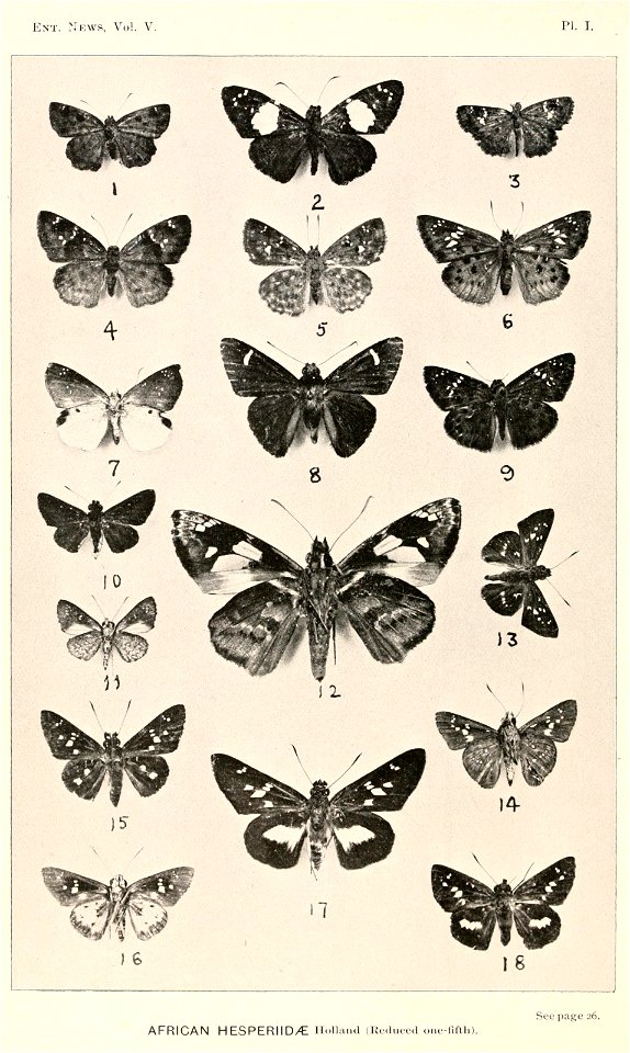 n43_w1150