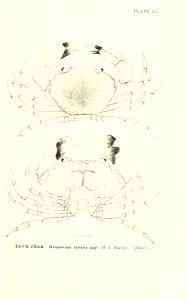 n902_w1150
