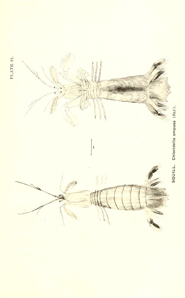 n842_w1150