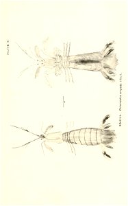 n842_w1150