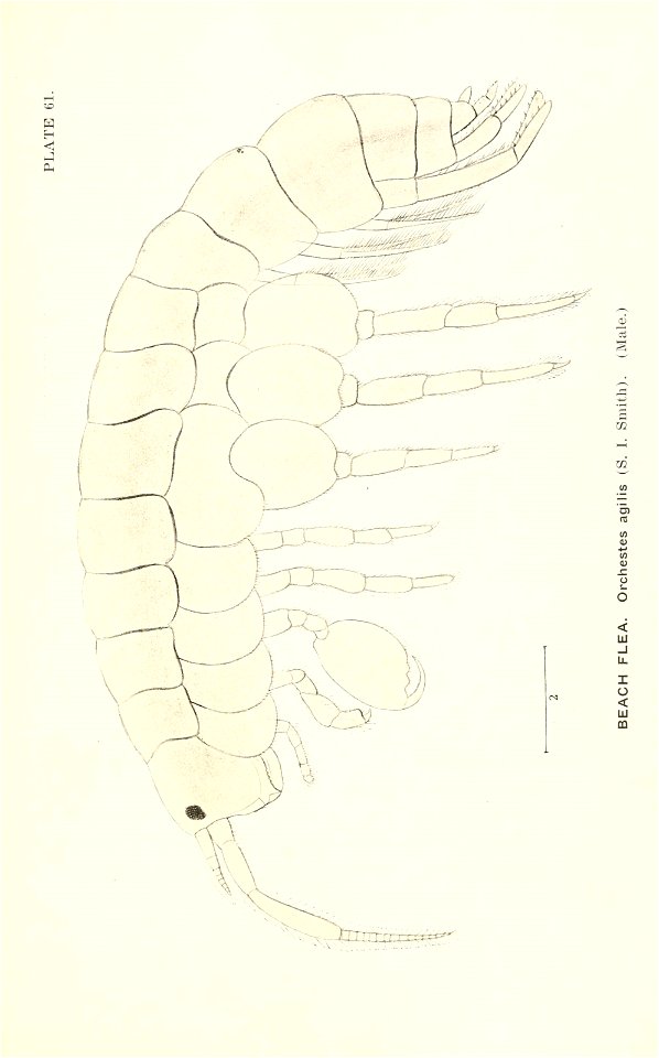n782_w1150