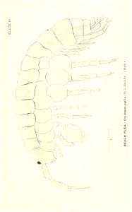 n782_w1150