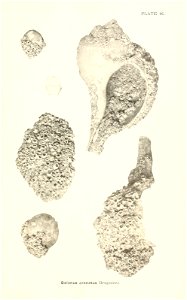 n752_w1150