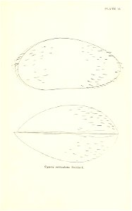 n692_w1150