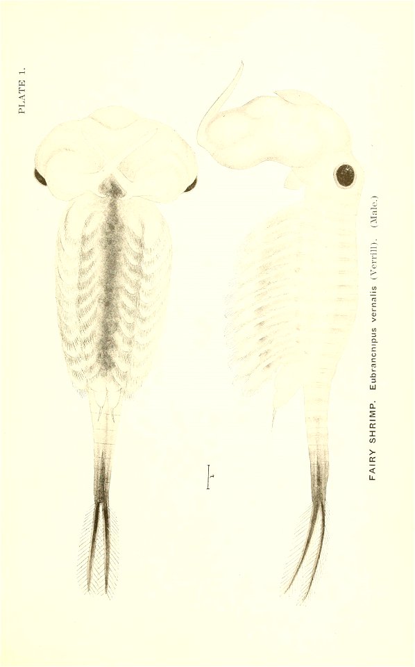 n662_w1150
