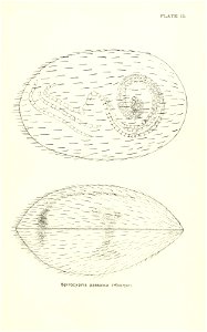 n690_w1150