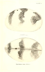 n688_w1150