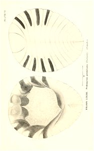 n806_w1150