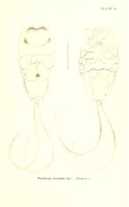 n716_w1150