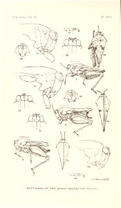 n161_w1150