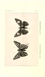n299_w1150