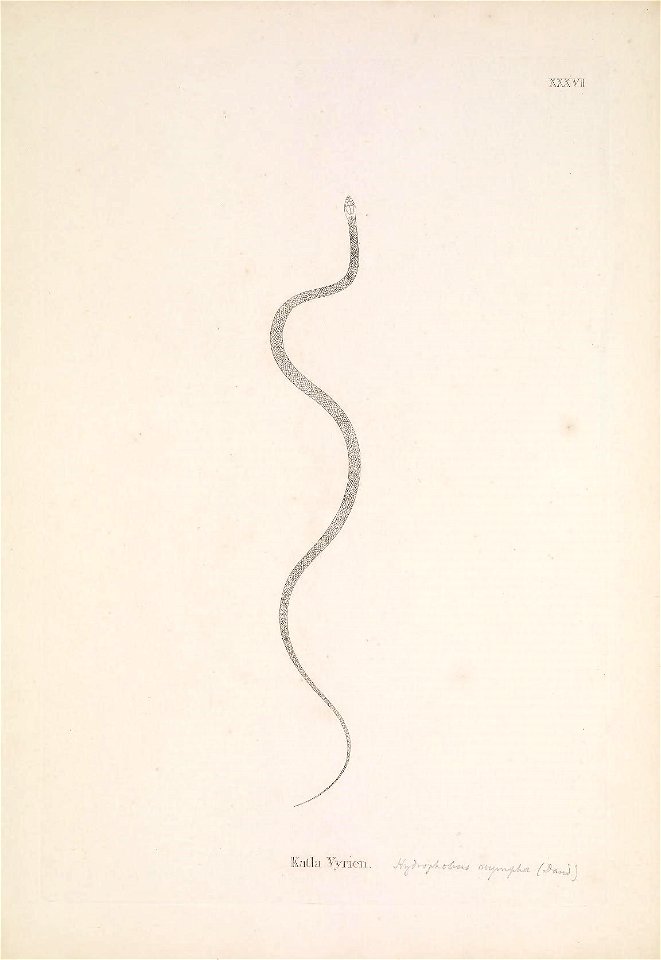 n144_w1150