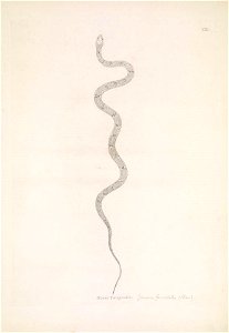 n114_w1150