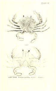 n924_w1150