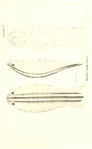 n834_w1150