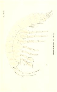 n774_w1150
